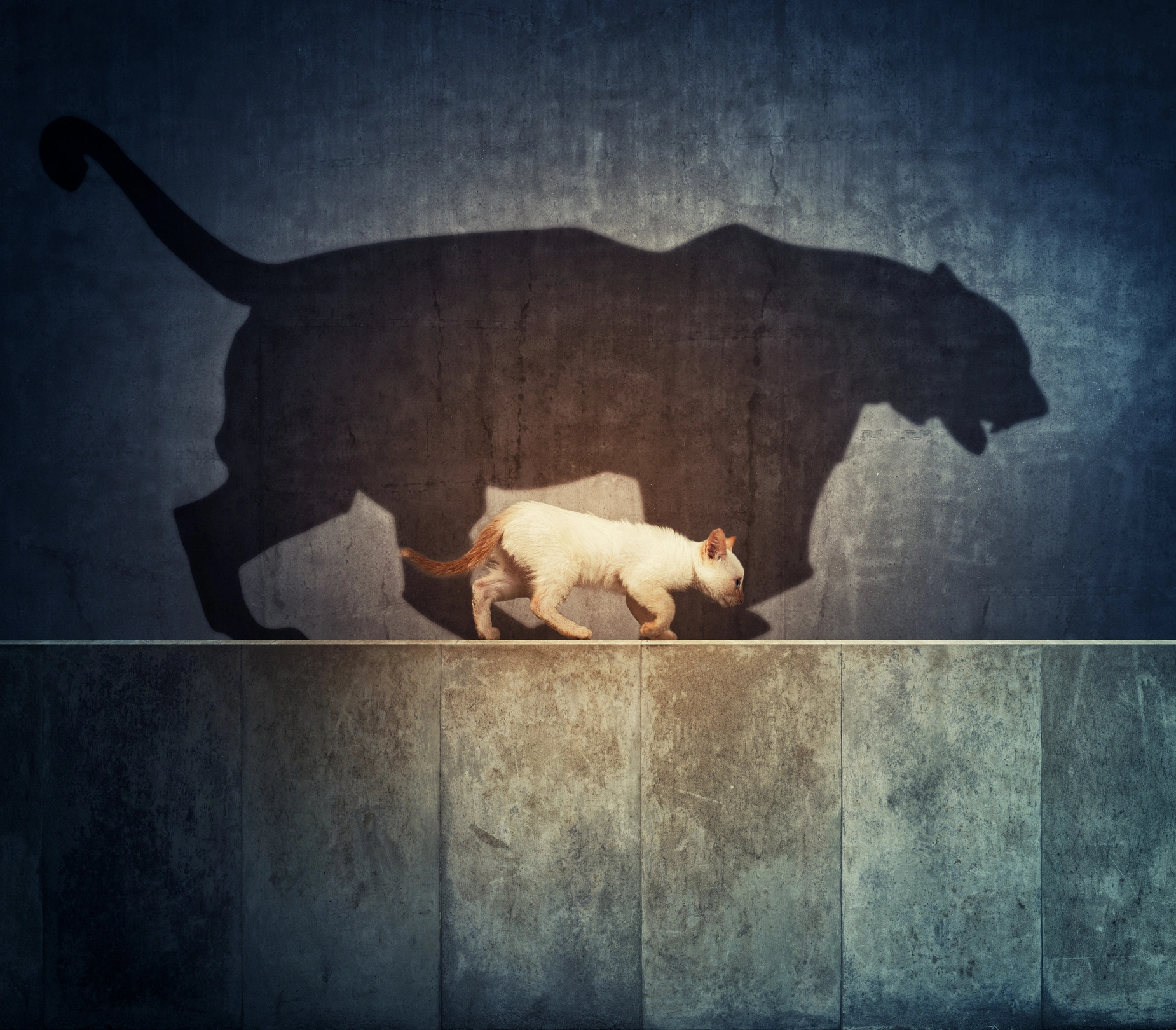 Leadership fundamentals Leadership fundamentals header 1 Leadership fundamentals header 1 | The Consultancy Growth Network