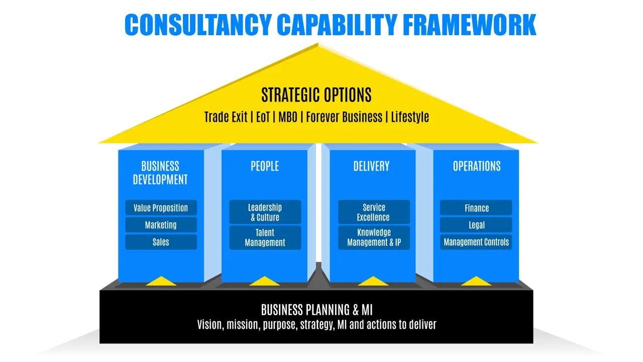 The Consultancy Growth Network capability framework