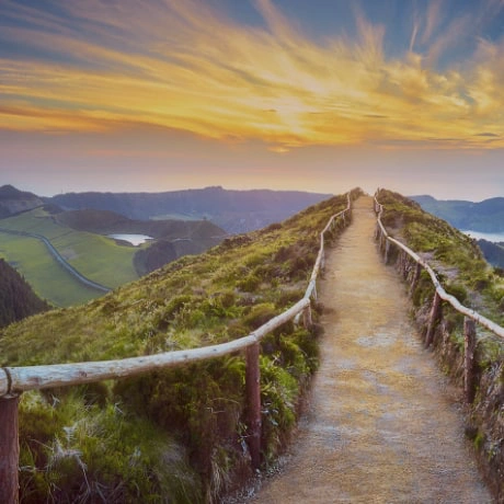 bg membership insights | The Consultancy Growth Network