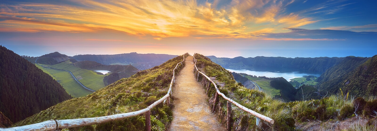 header path | The Consultancy Growth Network