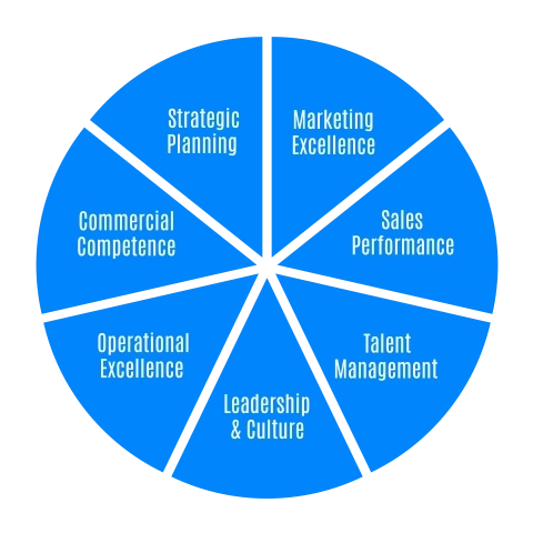 Business competency wheel