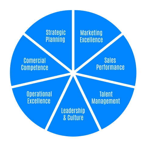 Business competency wheel