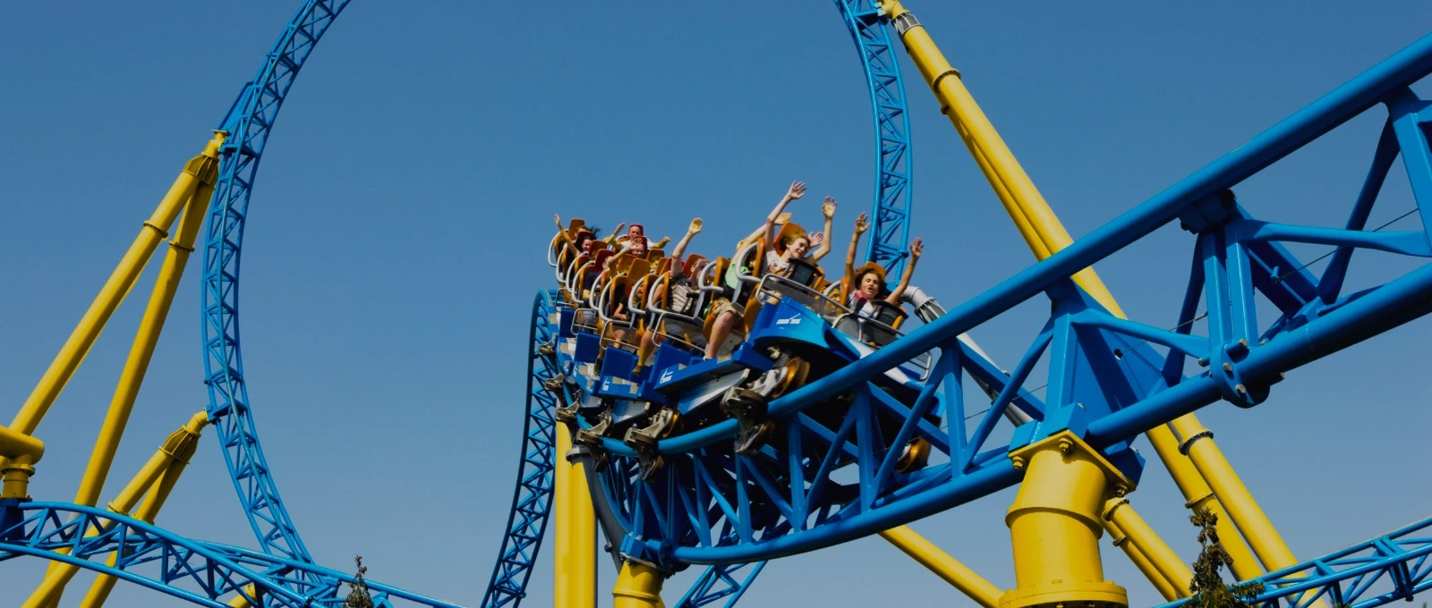 home carousel rollercoaster | The Consultancy Growth Network
