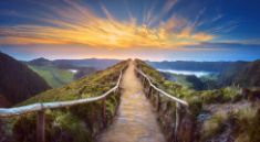 potential course 1 | The Consultancy Growth Network